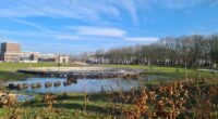 Regenwateropvang in het Molenwaterpark in Middelburg © Aukje de Vries